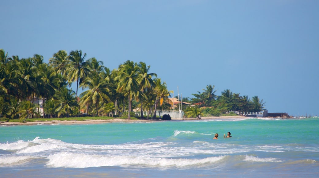 Ipioca Beach featuring waves, tropical scenes and swimming