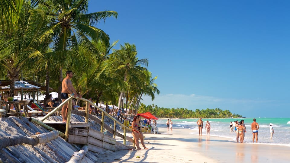 Una playa con palmeras, una escalera de madera y gente en traje de baño.