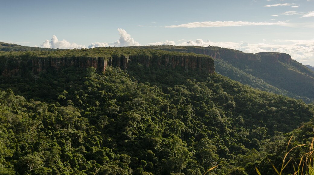 Chapada dos Guimaraes - Brasil