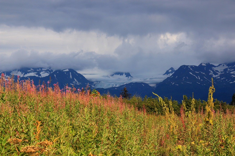 Beautiful area to hike and enjoy the Alaskan outdoors!