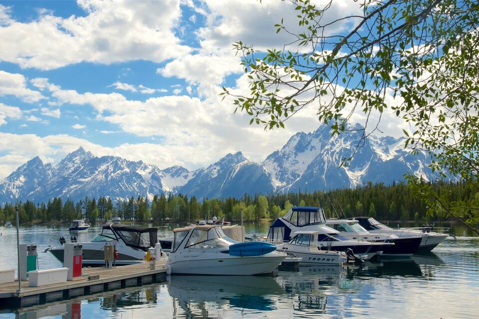 A marina with boats docked, surrounded by a forest and snow-capped mountains in the background.
