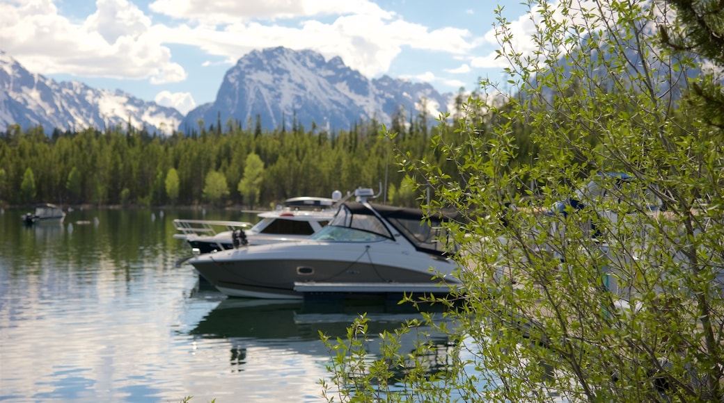 Colter Bay Visitor Center featuring wetlands