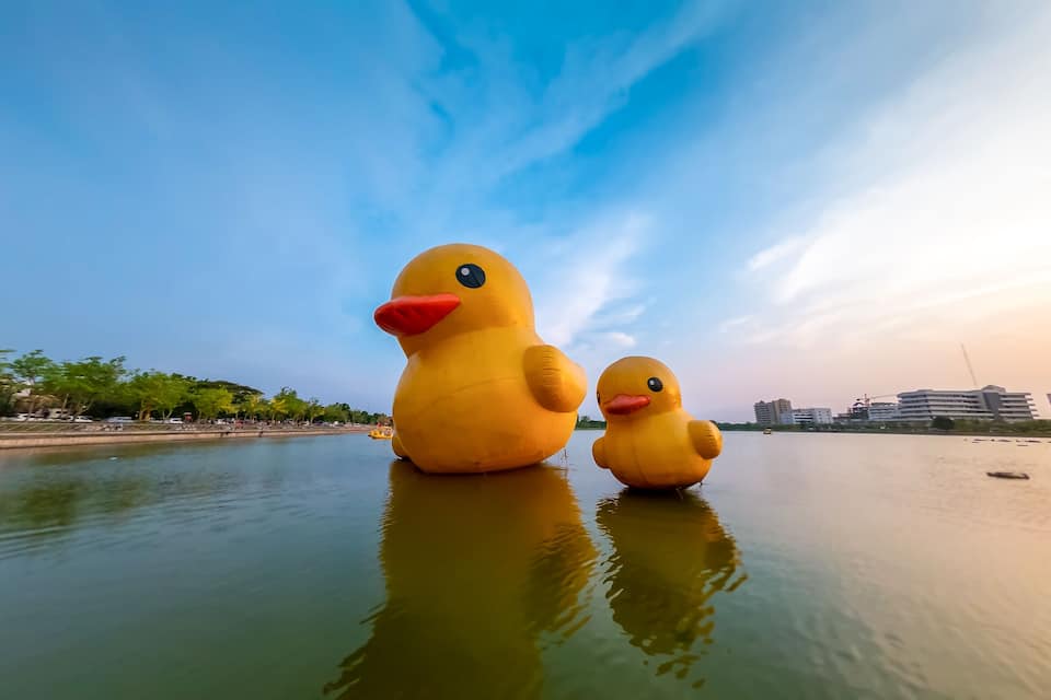 Zwei große, gelbe Enten-Skulpturen auf einem ruhigen Fluss.
