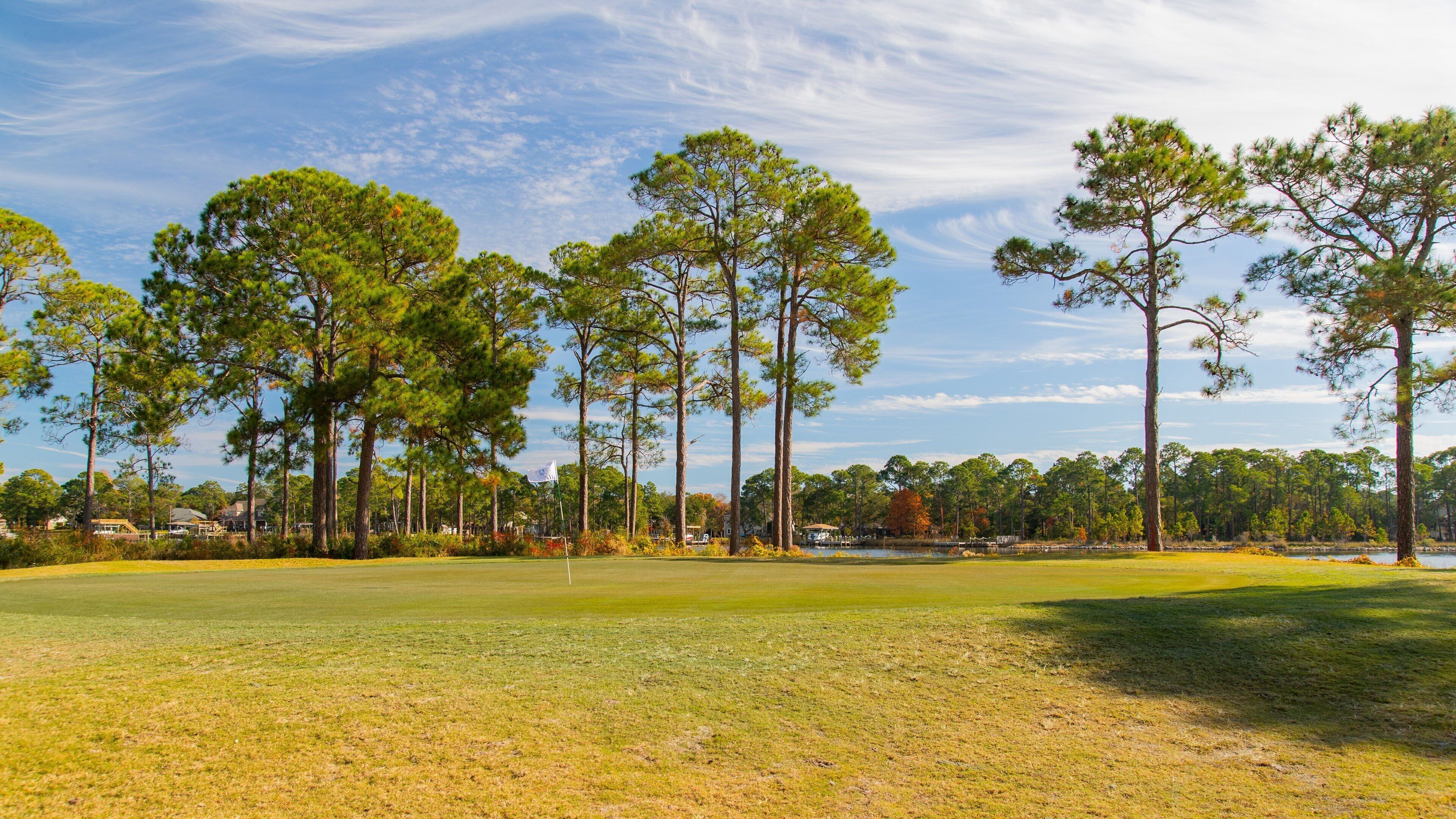A golf course with tall pine trees and a clear sky.