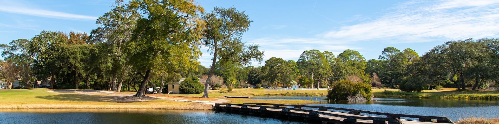 Un lago tranquilo con un muelle de madera que se adentra en el agua, rodeado de frondosos árboles verdes y un cielo azul despejado.