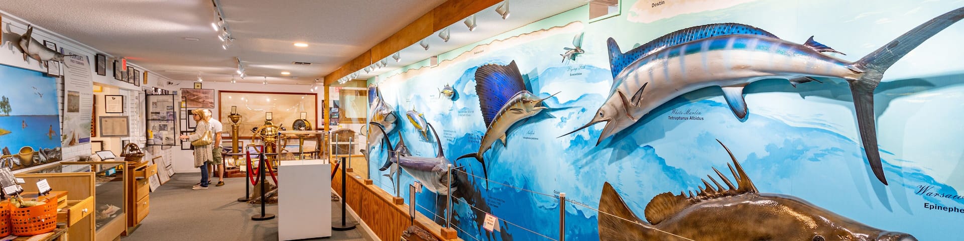 Destin History and Fishing Museum showing marine life and interior views