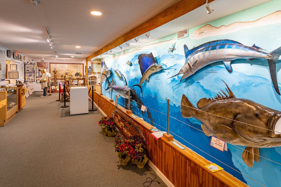 Un museo con un grande murale dedicato alla vita marina, tra cui uno squalo balena e un pesce vela.