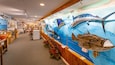 Destin History and Fishing Museum showing marine life and interior views