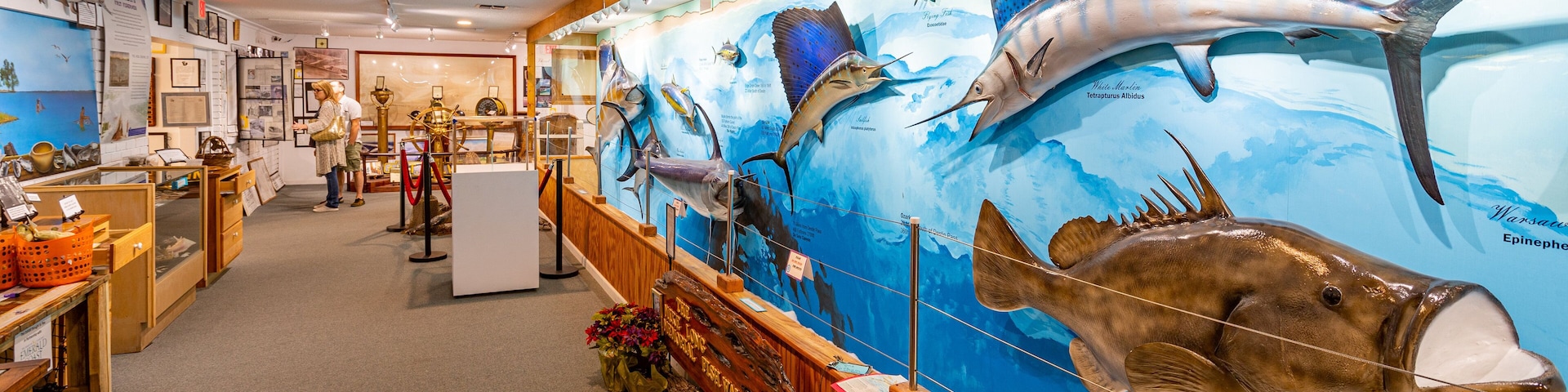 Destin History and Fishing Museum showing marine life and interior views