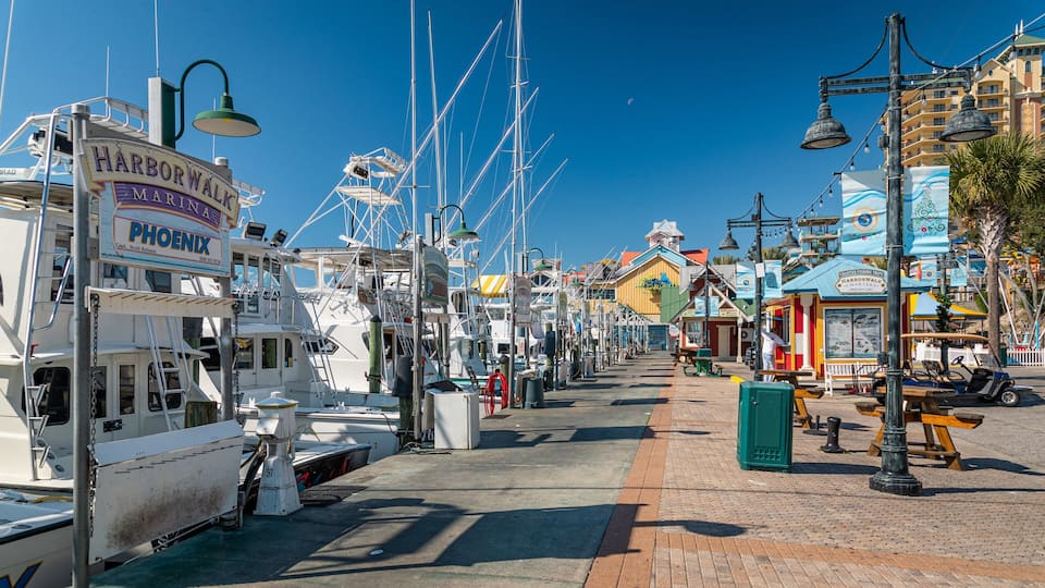 A marina with boats docked, a street with shops, and a clear blue sky.