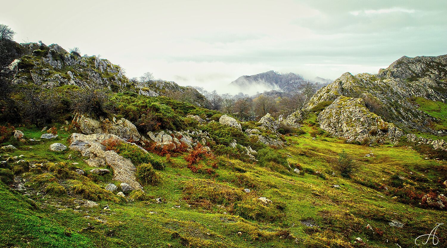 Mountain view on the way to Cvadonga lakes. A place really worth visiting, maybe even better in this misty weather.