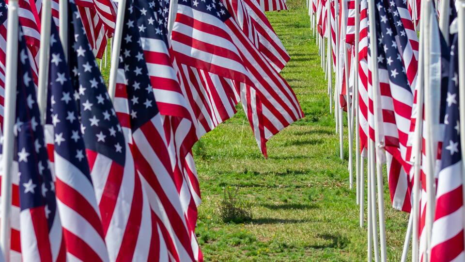 Rows of nation flags of the United States of America are on display in a field.
