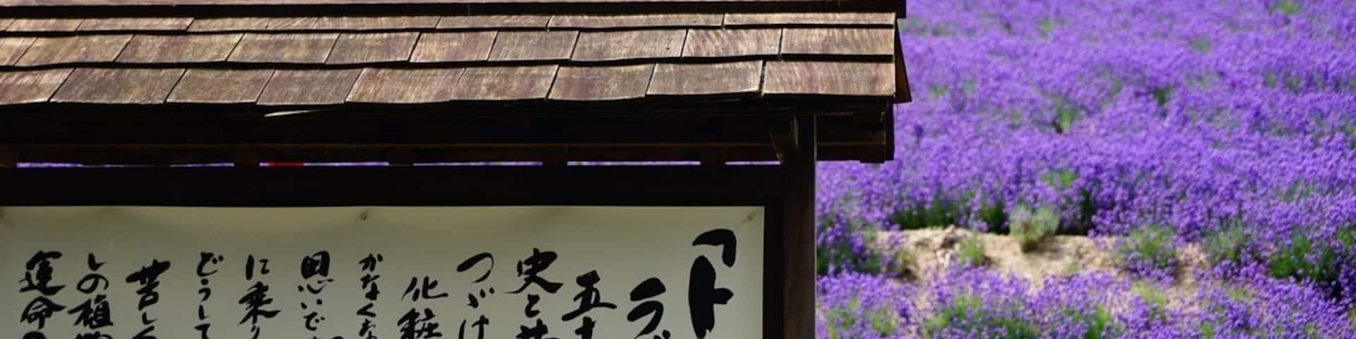 A wooden structure with a sign in Japanese, surrounded by a field of purple flowers.