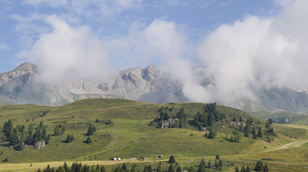 Am Passo San Pellegrino