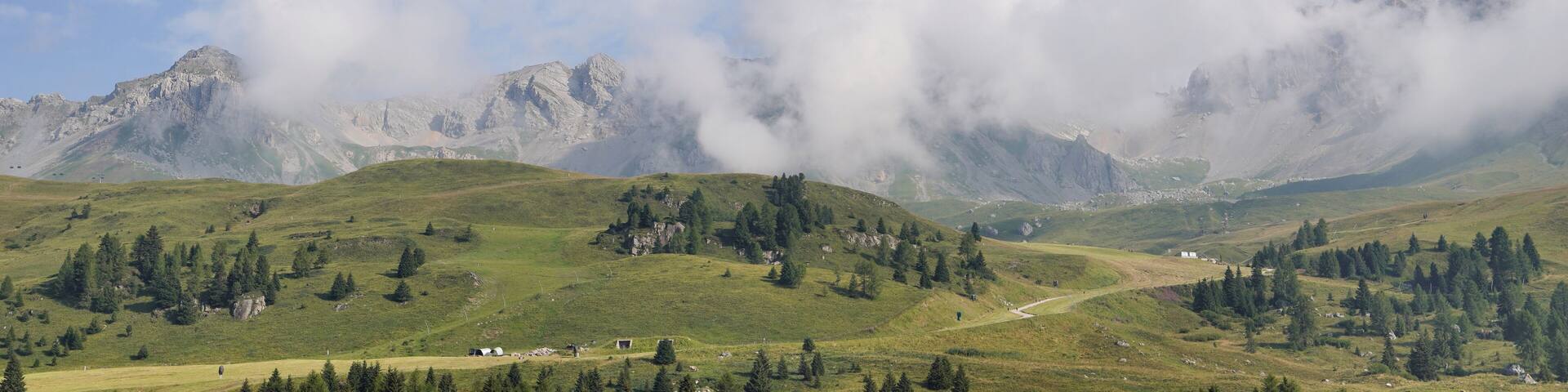 Am Passo San Pellegrino