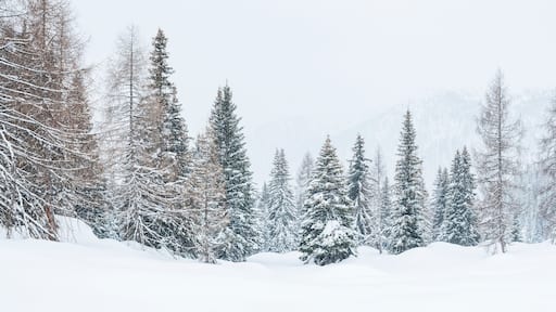 聖佩萊格里諾山口