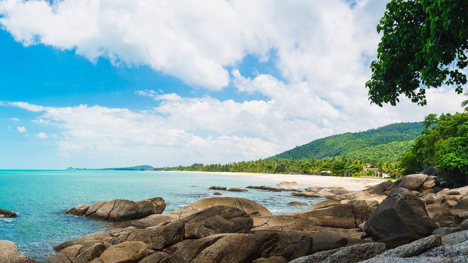 A woman in a pink dress standing on a rocky outcrop by a turquoise sea, with a beach and lush greenery in the background.