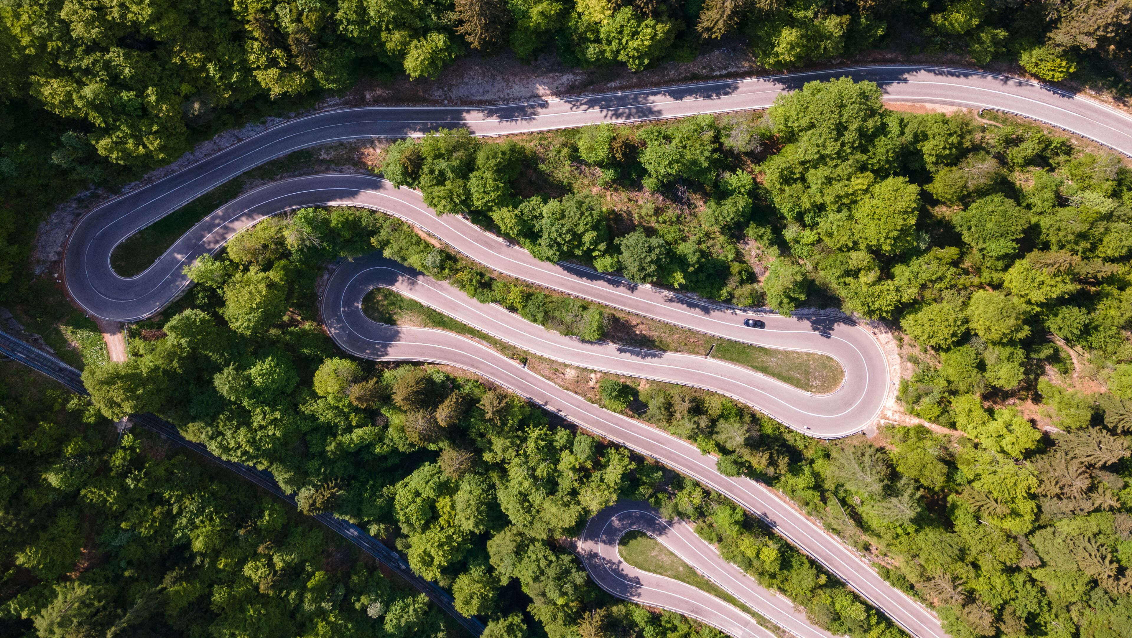 A winding road through a dense forest.
