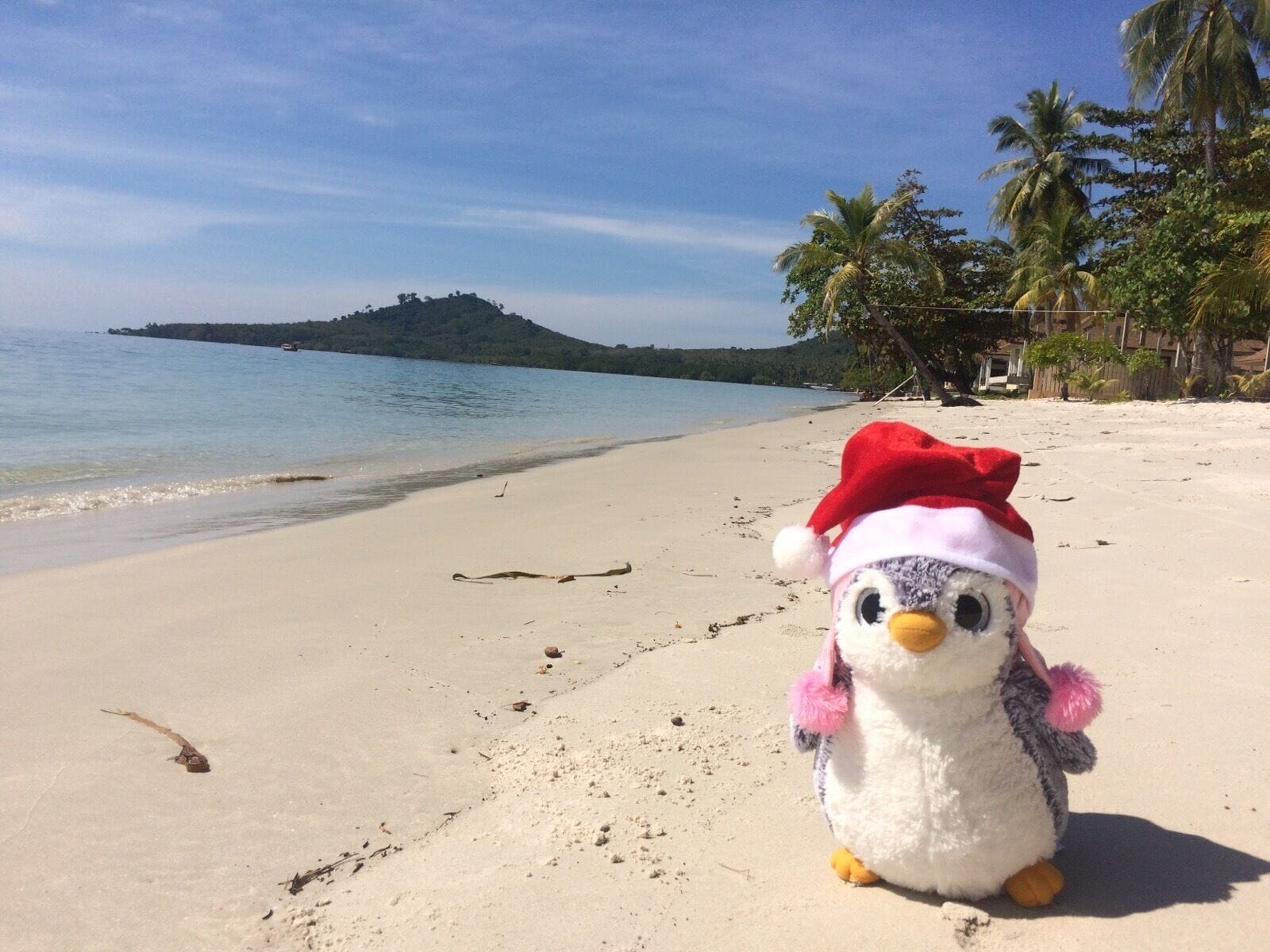 Pingu in Thailand 