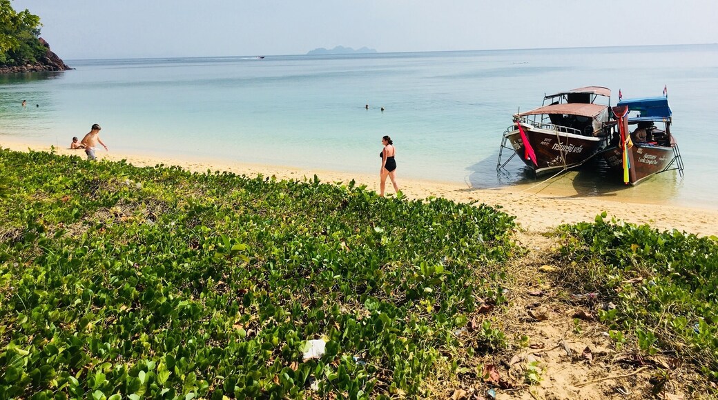 Private all-day snorkel adventure with Green Group. Hit four different islands including Emerald Cave and a stop for tasty curry lunch at this secluded cove. About US600$ total for 3 families. #lifeatexpedia