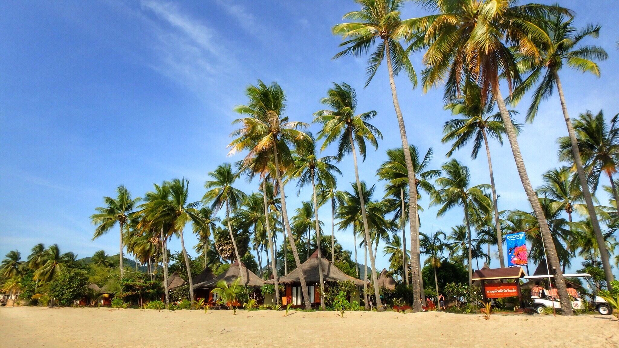 Blend myself to nature at Koh Mook, Trang, Thailand