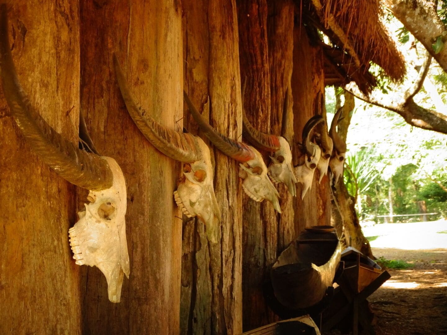 Una estructura de madera con grandes cuernos y cráneos de animales montados.
