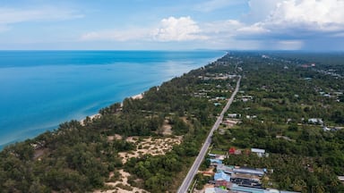 Aerial view of Sathing Phra coastline in Songkhla, Thailand. Long beach, turquoise sea, and lush green landscape meet a coastal road.