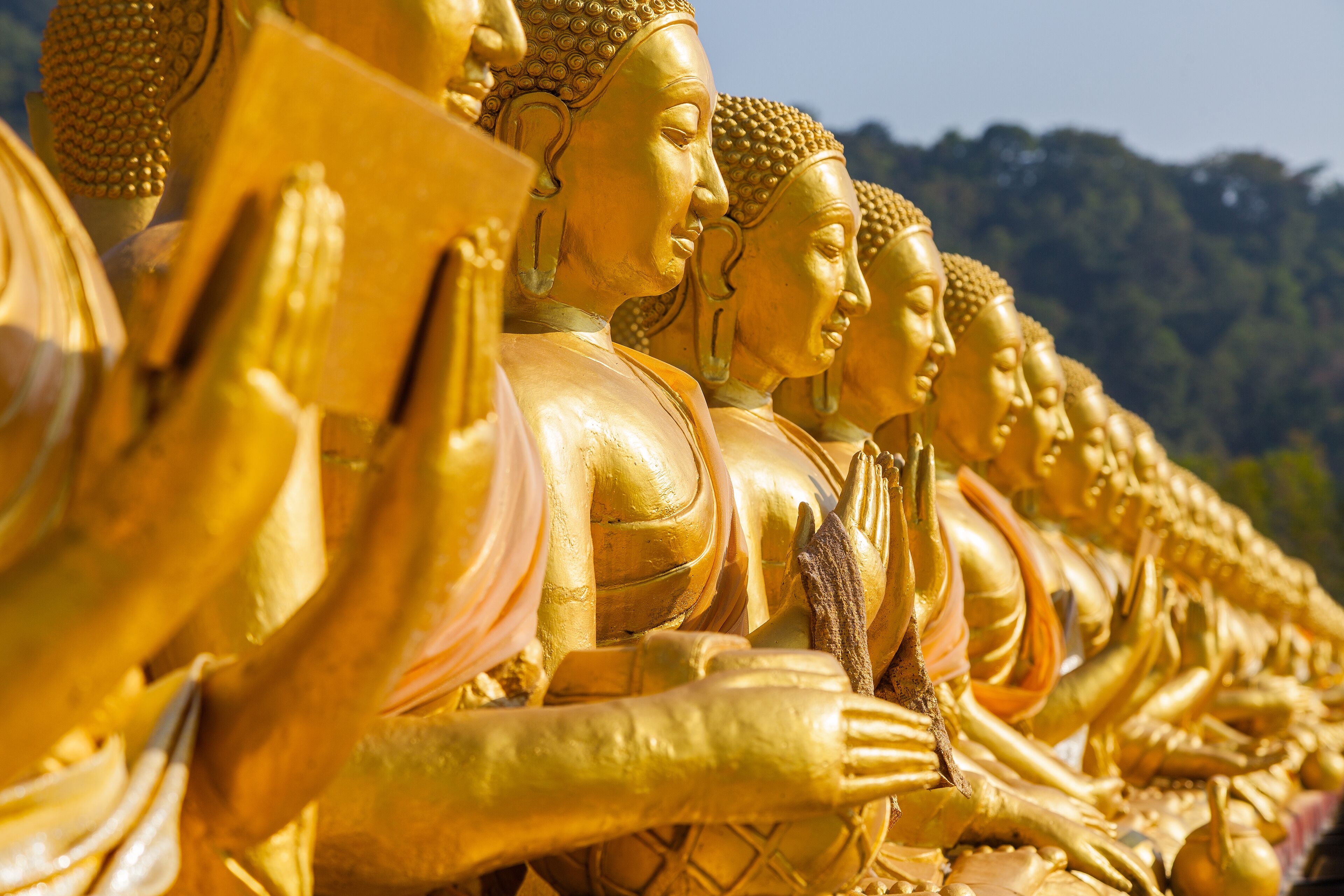 A row of golden Buddha statues.