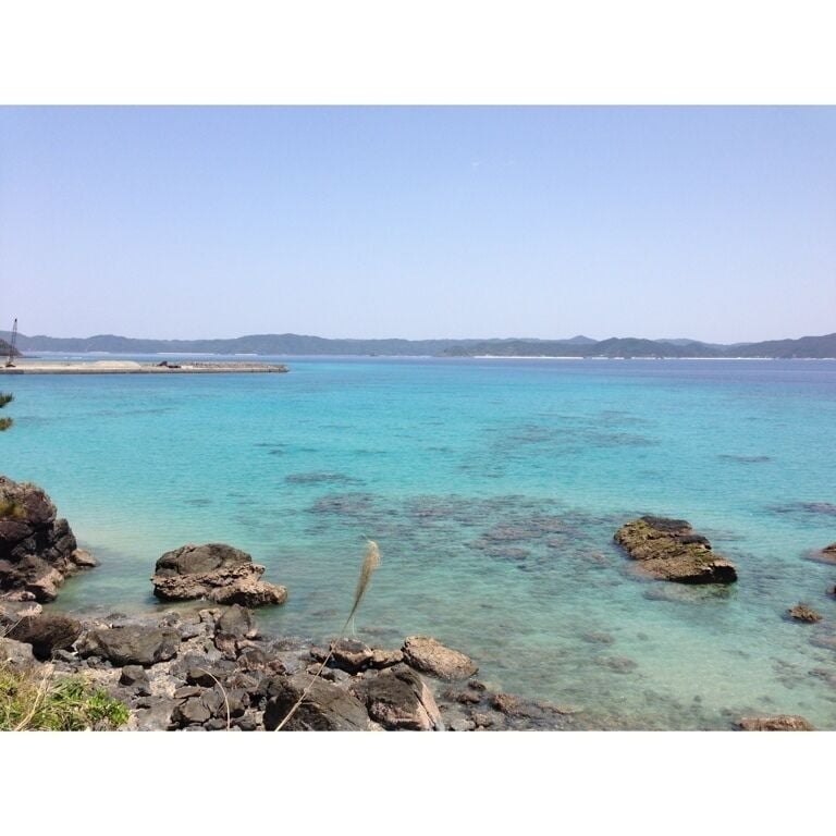 The natural environment of Amami Oshima is very various. Grand coral reefs, beautiful white sands, steep cliffs of the coastline, and  deep primeval forest that cannot go into easily. 
Evolution with original living things of an endemic species was accomplished.