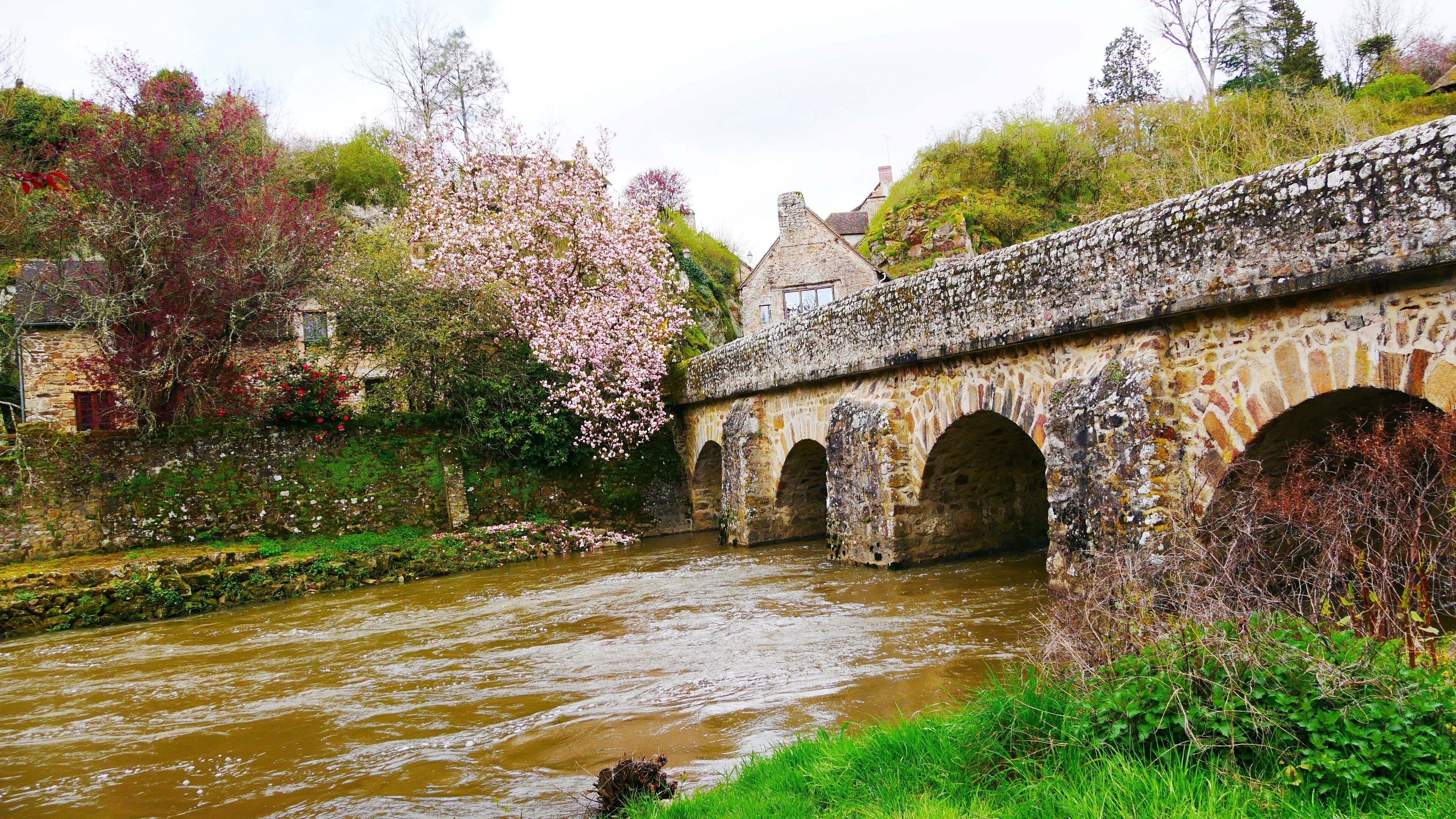 A stone bridge over a river with blooming trees and a stone building in the background.