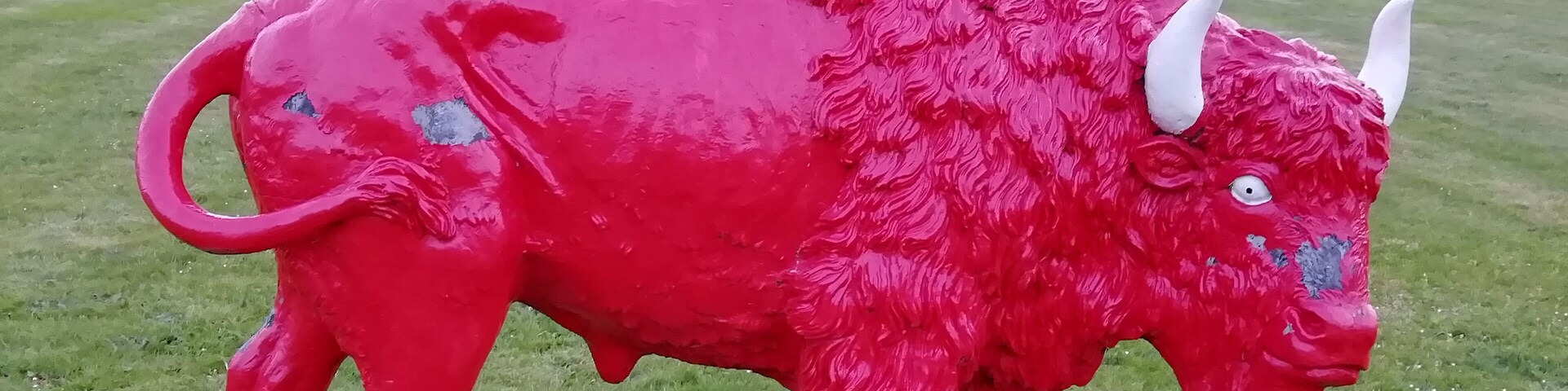 Needs a touch up.
