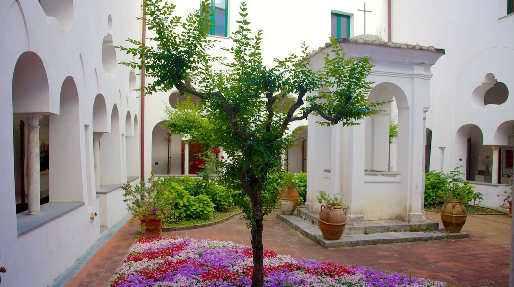 Church of San Francesco showing a square or plaza, a park and religious elements