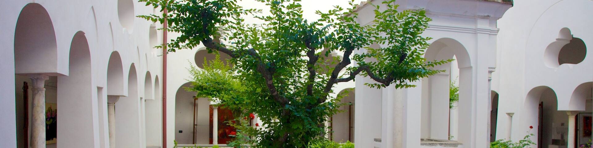 Church of San Francesco showing a square or plaza, a park and religious elements