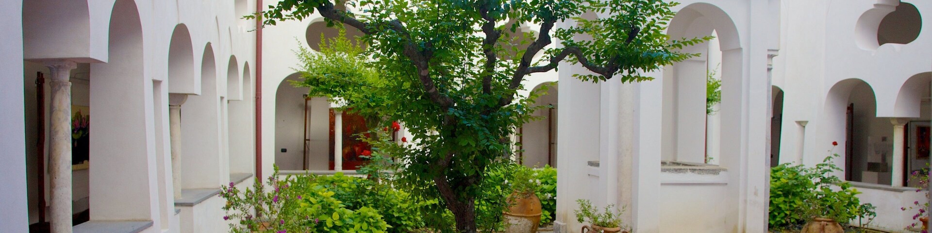 Church of San Francesco showing a square or plaza, a park and religious elements
