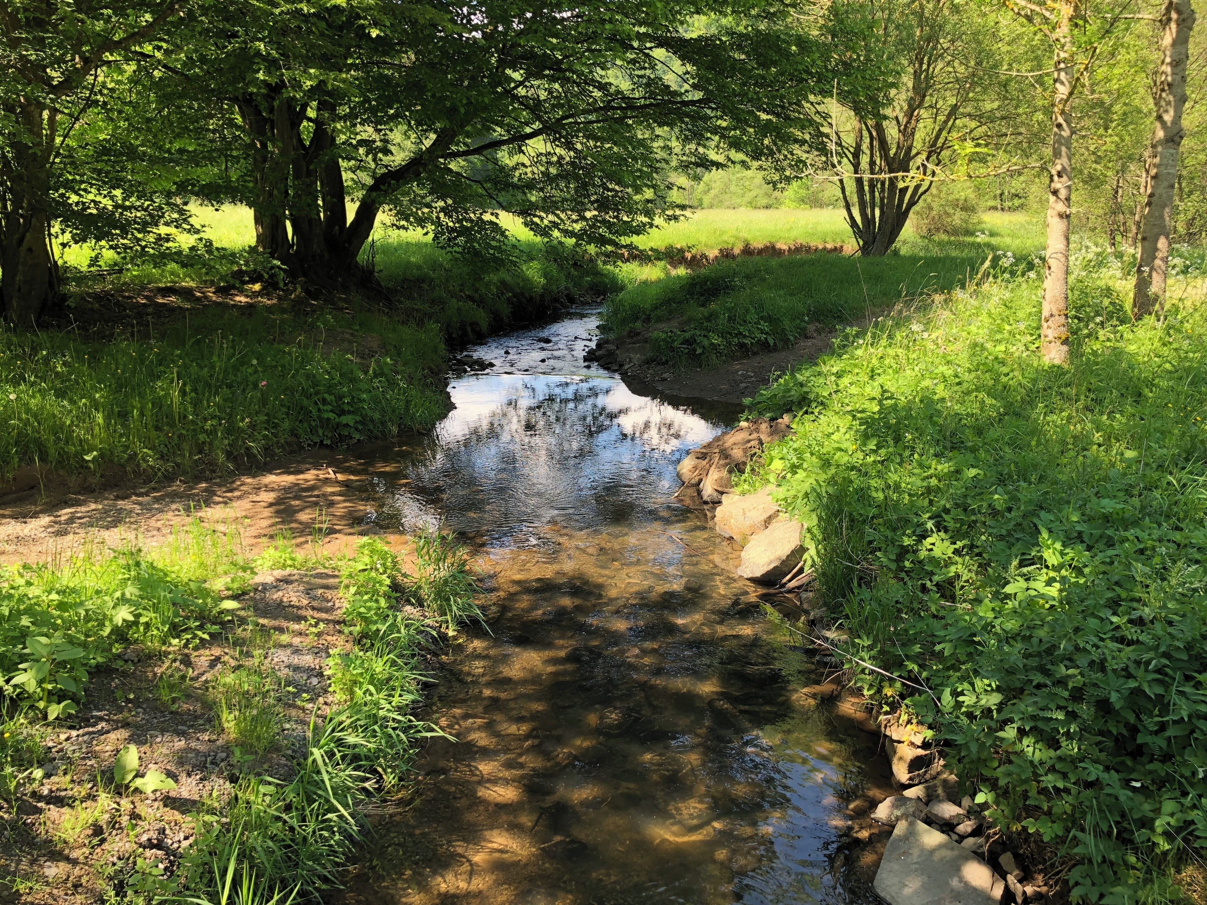Bilder zwischen der Mündung des Lengelbach und der Huhnsmühle.