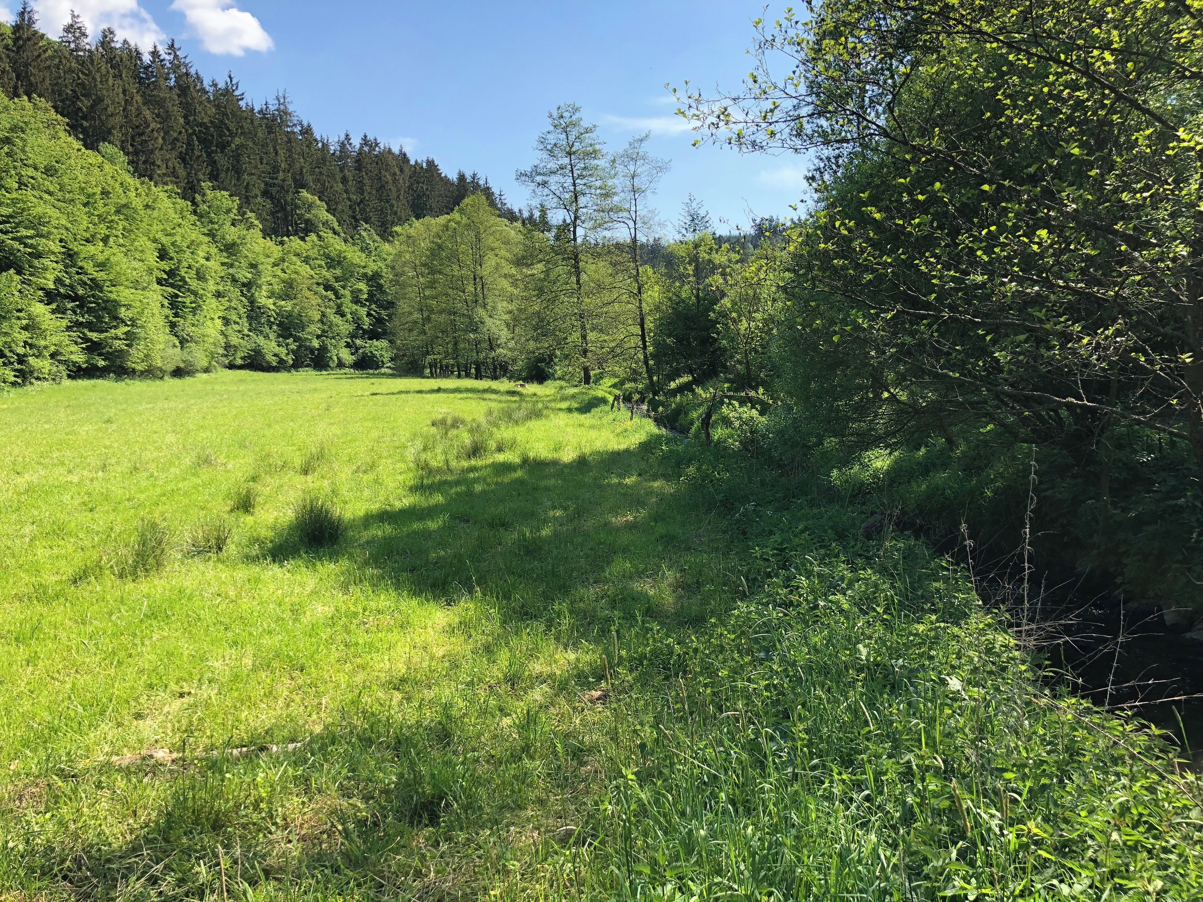 Bilder zwischen der Mündung des Lengelbach und der Huhnsmühle.