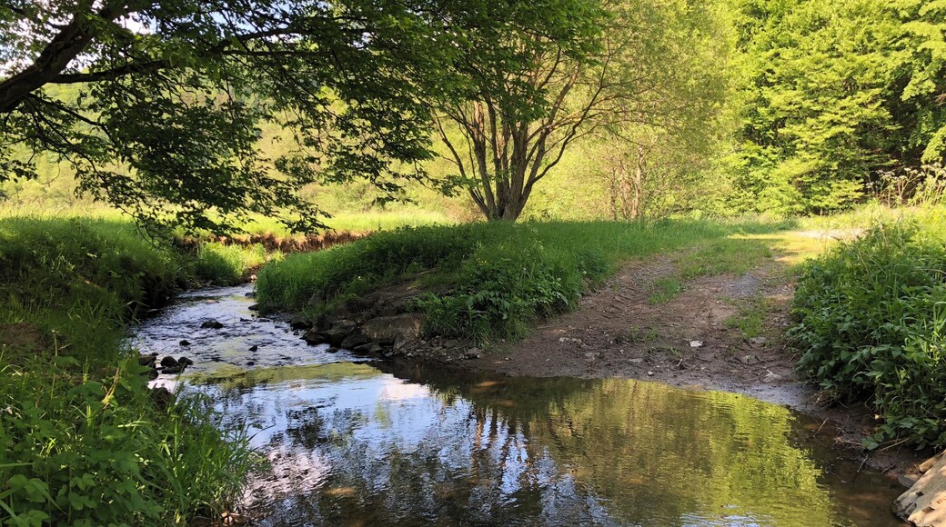 Bilder zwischen der Mündung des Lengelbach und der Huhnsmühle.