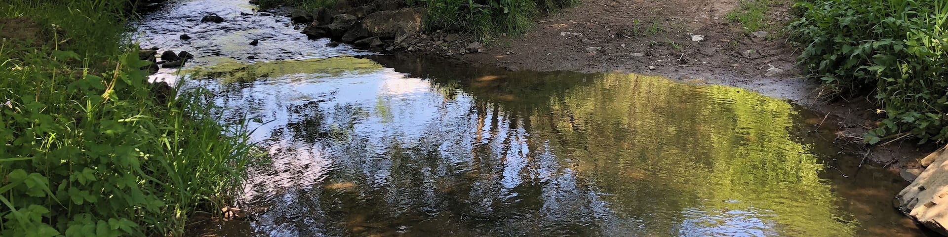 Bilder zwischen der Mündung des Lengelbach und der Huhnsmühle.
