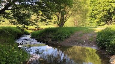Bilder zwischen der Mündung des Lengelbach und der Huhnsmühle.