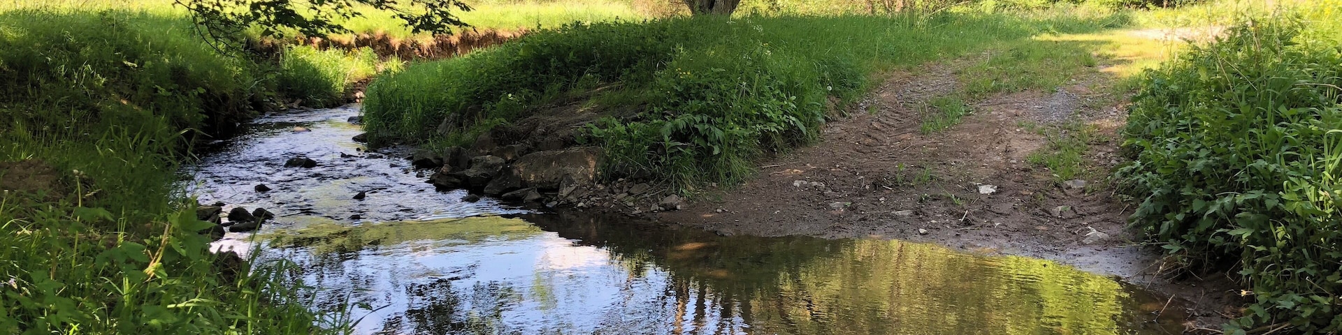 Bilder zwischen der Mündung des Lengelbach und der Huhnsmühle.