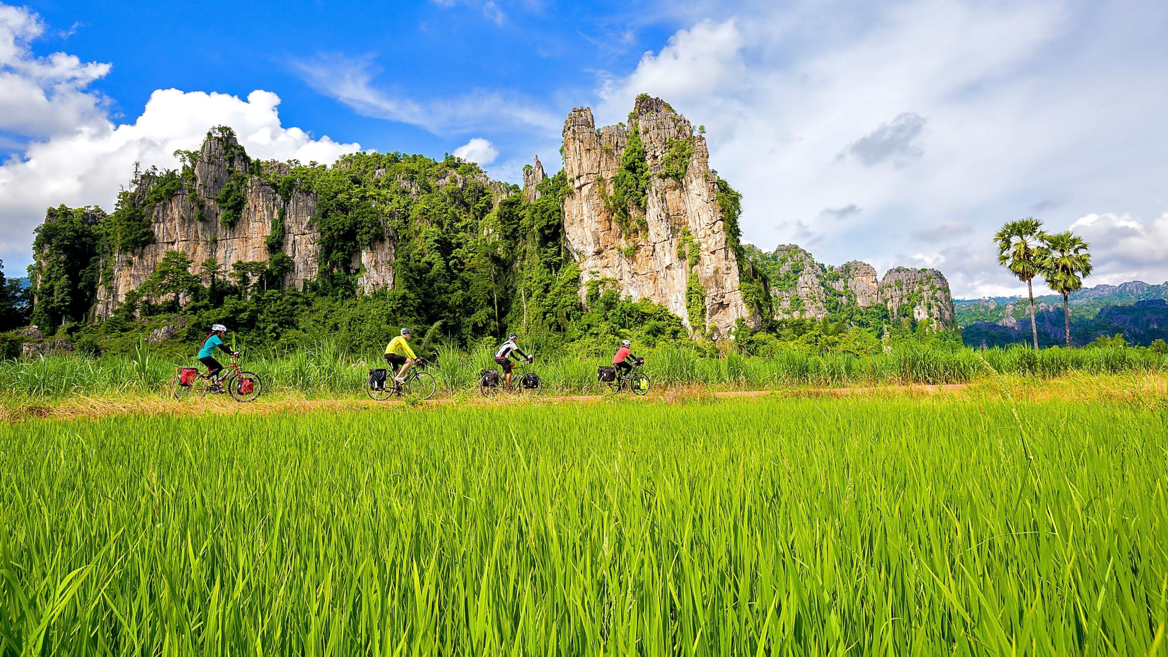 Sukhothai Historical Park showing mountains, cycling and a garden