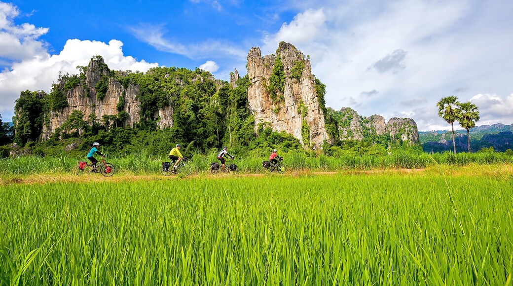 Sukhothai Historical Park showing mountains, cycling and a garden