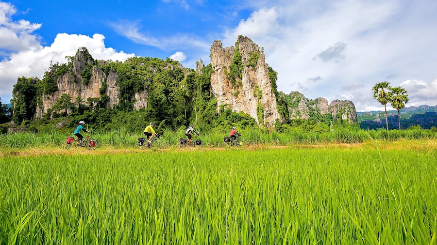 Sukhothai Historical Park showing mountains, cycling and a garden