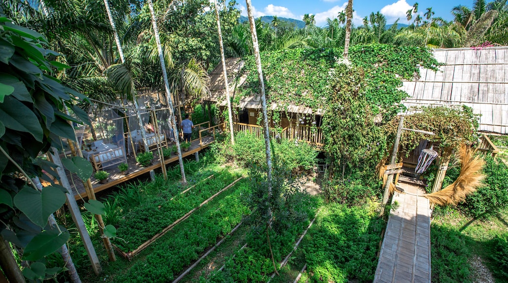 Baan Rai I Arun-Ranong: December 29, 2019, the atmosphere inside the restaurant, resort, tourists come to eat during the New Year's holiday, the Kapoe area, Thailand.