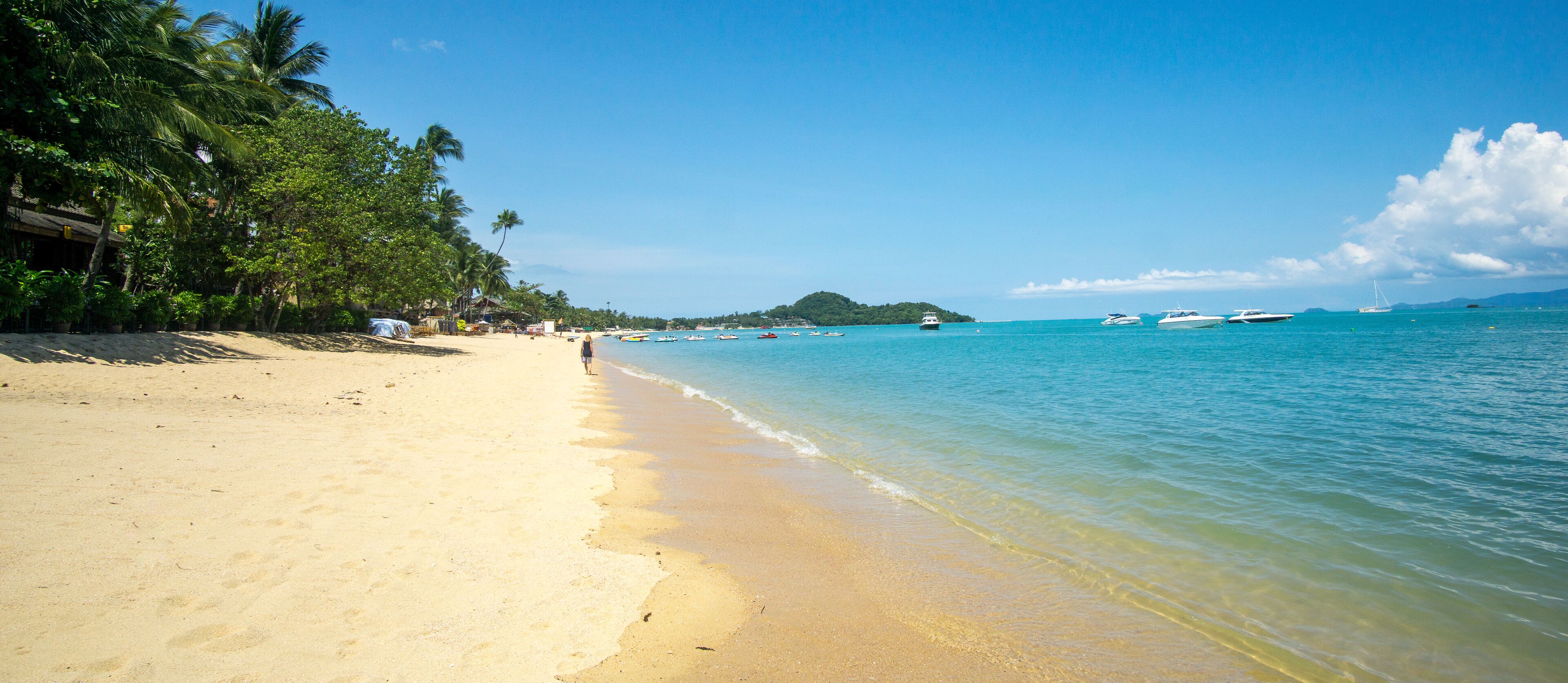 A sandy beach with palm trees and a clear blue sea.