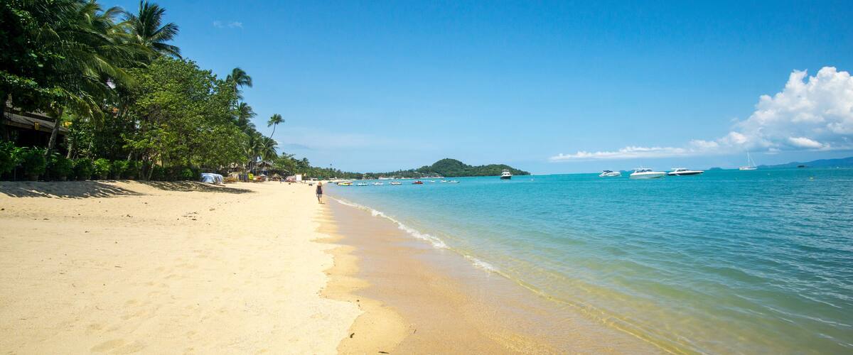 A sandy beach with palm trees and a clear blue sea.