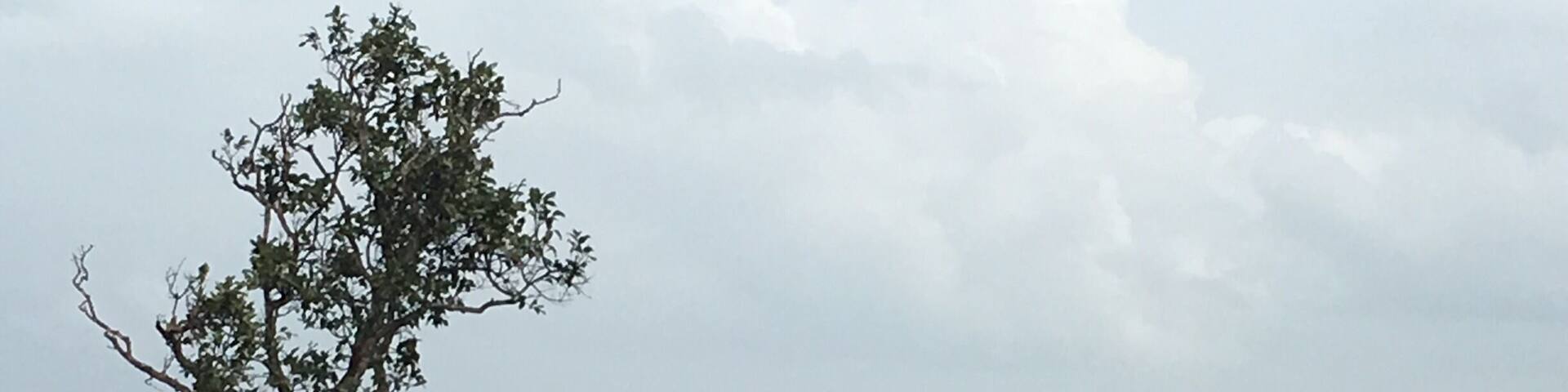 #AboveItAll
A view from Pa Hin Ngam National Park