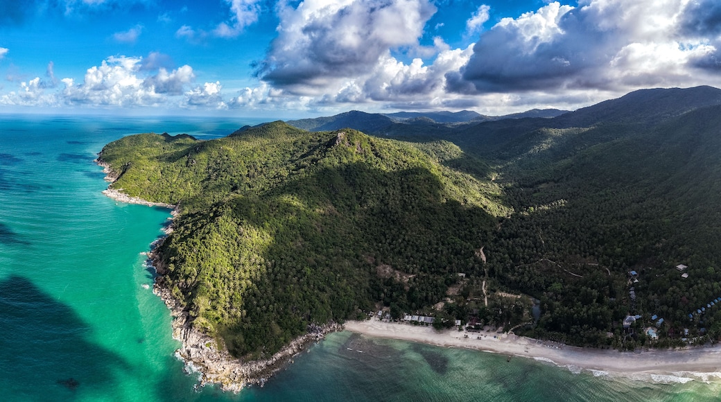 Un paisaje costero con playa, bosque denso y terreno montañoso.
