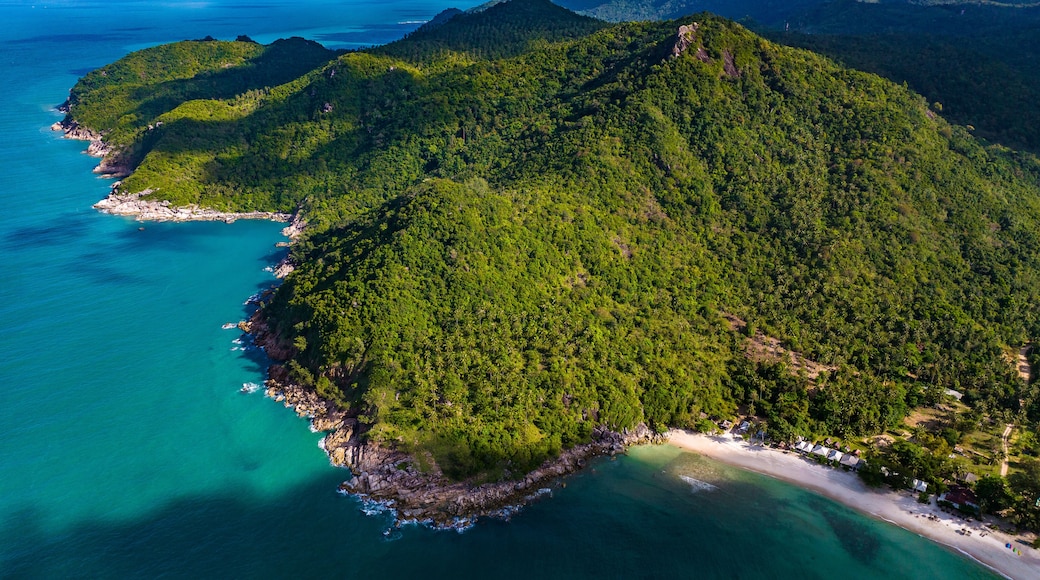 Un paisaje costero con playa, bosque denso y montañas al fondo.