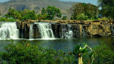 A waterfall cascading over rocky ledges into a pool surrounded by lush greenery and palm trees.
